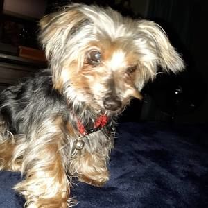 Meet your Posher, Joanie